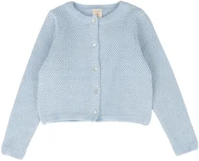 Analogie Knit Classic Cardigan in Light Blue